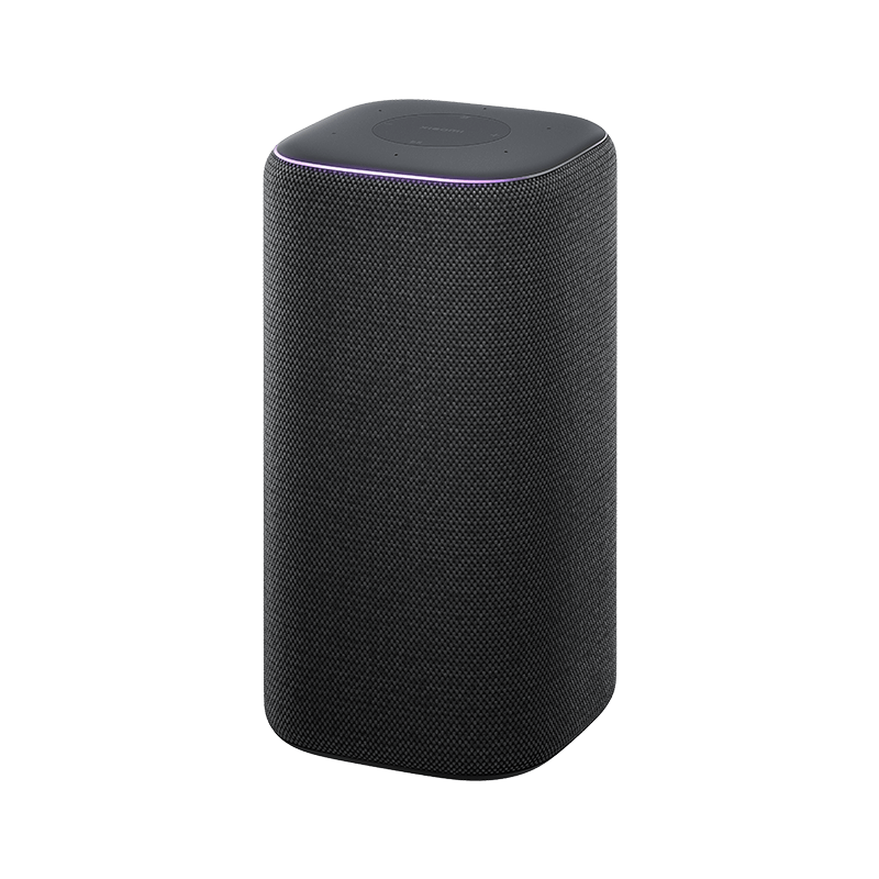 Xiaomi smart speaker Pro
